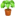 🪴