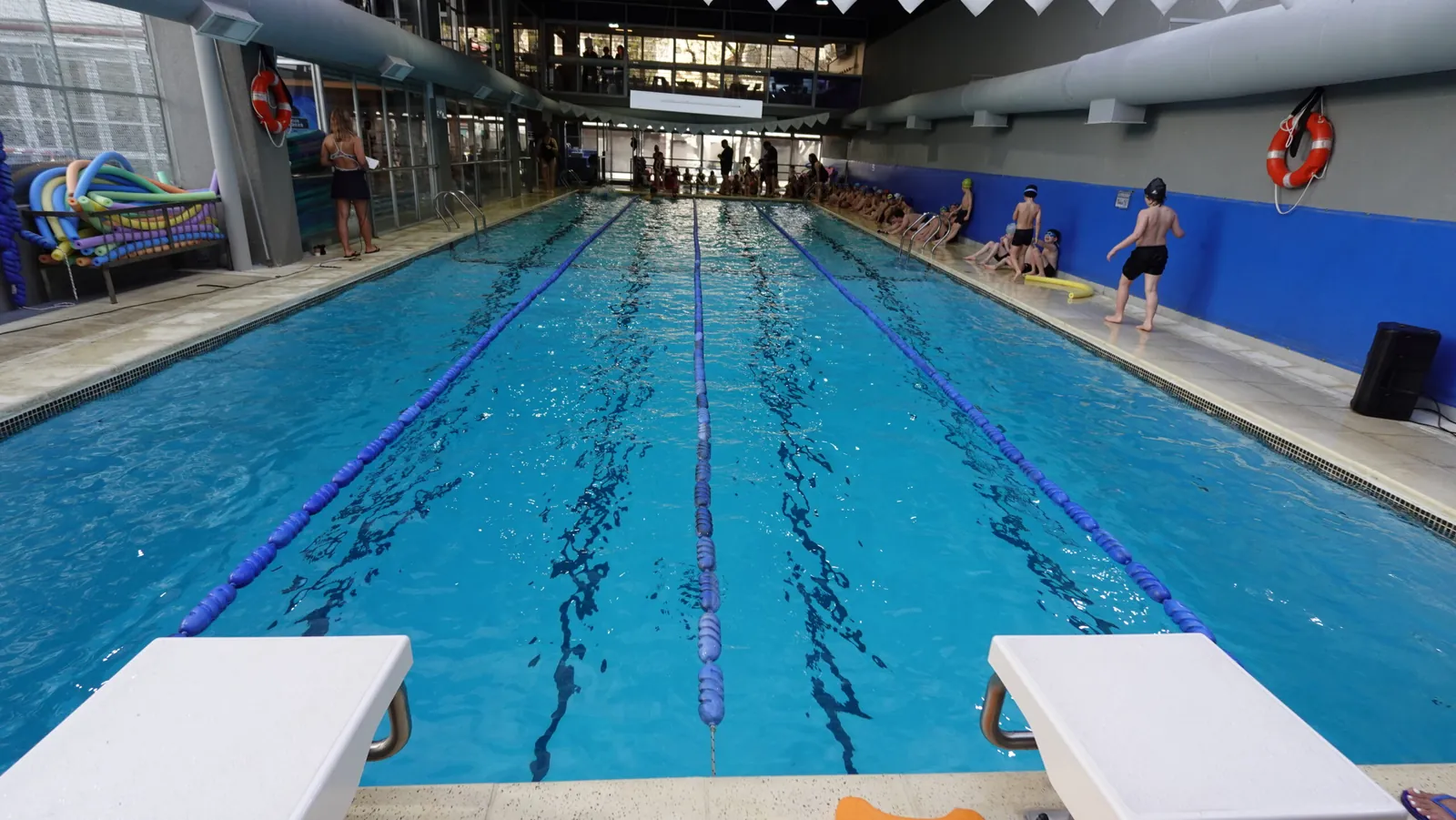 Así&nbsp;vivimos el torneo de natación 2025
