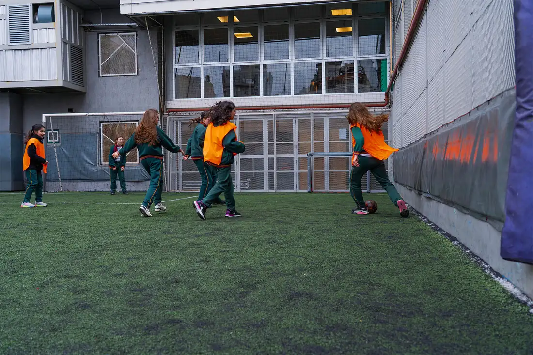 Cancha de Césped Sintético